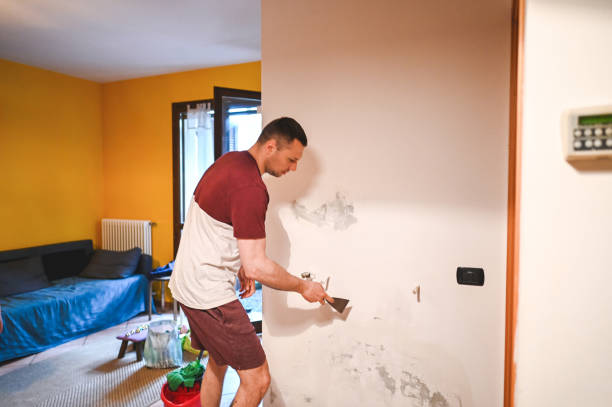 Mold Removal and Inspection in Edgewater, CO